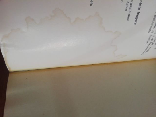 Isaac B. Singer - I due bugiardi. 1ed febbraio