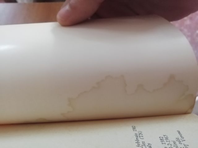 Isaac B. Singer - I due bugiardi. 1ed febbraio