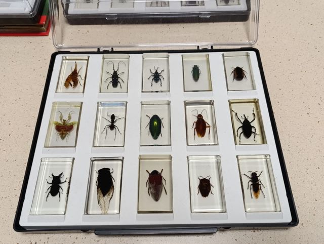 BICHOS. Viaja al mundo de los animales m