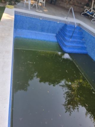 Limpieza de piscinas