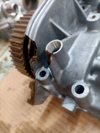 Tapa balancines Volskwagen Golf VIII 1.5 ETSI 150