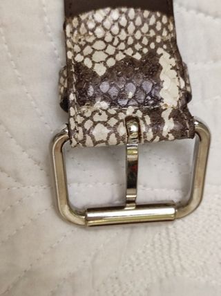 Cinturon Roberto Bellido