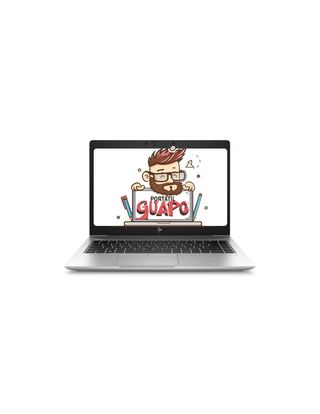 Ordenador Portátil HP Elite 745 G6 Ryzen 5 Pro