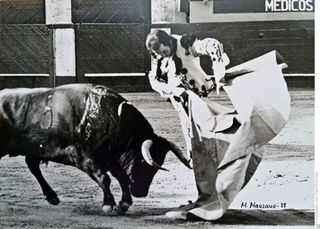 12 FOTOS TAURINA RAFAEL DE PAULA 18X24  originales