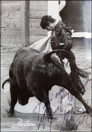 12 FOTOS TAURINA RAFAEL DE PAULA 18X24  originales