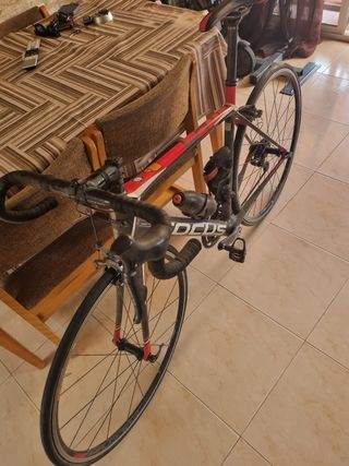 Bicicleta carretera focus