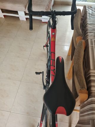 Bicicleta carretera focus