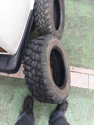 Rueda de tacos llanta 15"
