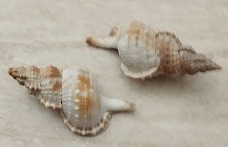 Soprammobili vari