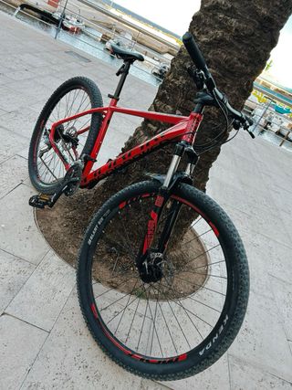 Mondraker Phase 29