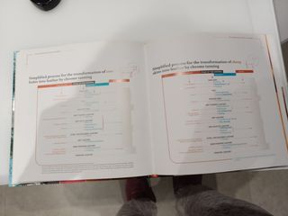 Libro técnico  Leather Manufacturing