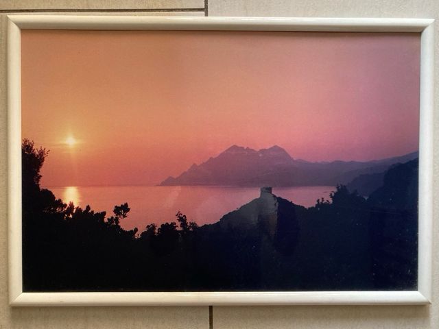 Stampa su lastra metallo