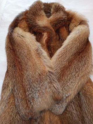 Abrigo de zorro rojo