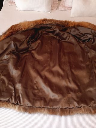 Abrigo de zorro rojo