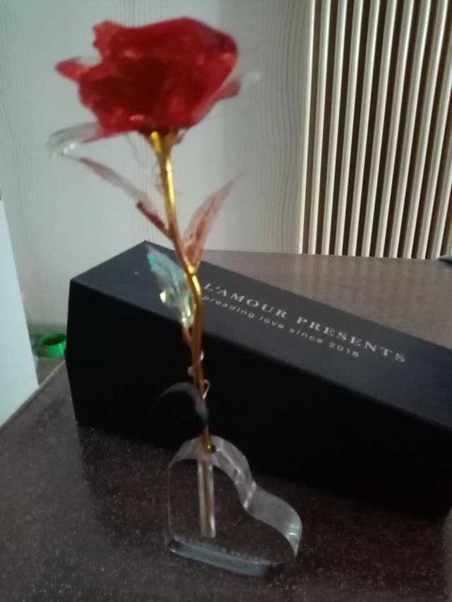Rosa idea regalo