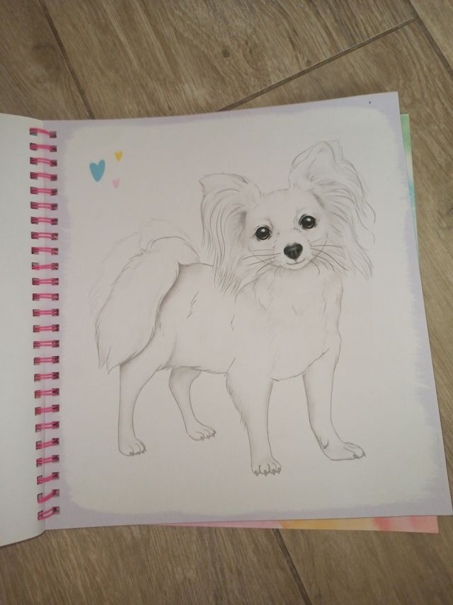 Cuaderno"Top Model"para colorear perros