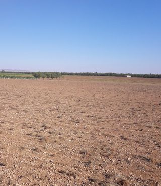SE VENDE TIERRA ARABLE.