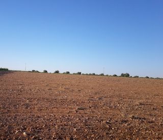 SE VENDE TIERRA ARABLE.