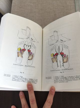 Guia práctica de medicina natural