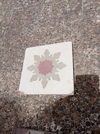 Azulejos baldosas antiguos 