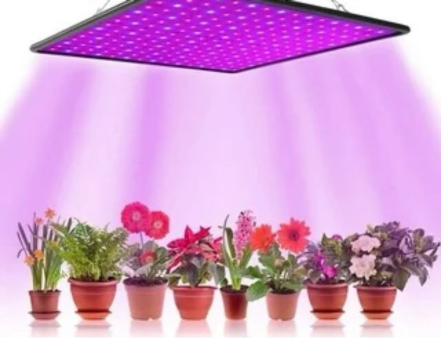 LED Plant grow Light luz de la planta
