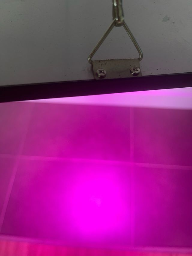 LED Plant grow Light luz de la planta