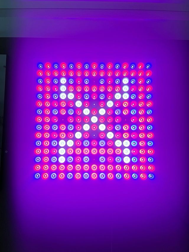 LED Plant grow Light luz de la planta