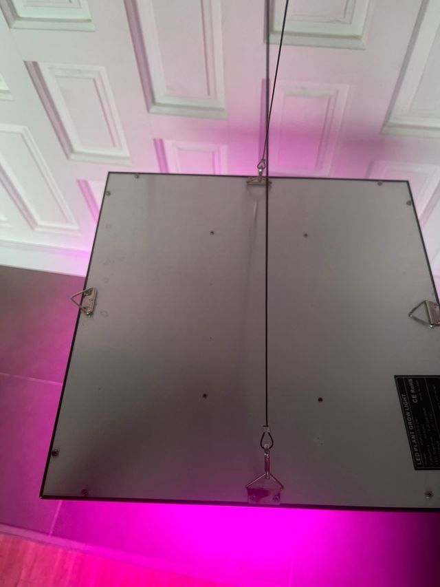 LED Plant grow Light luz de la planta