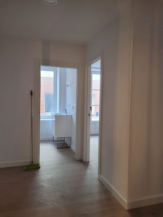 Pintor y manitas  económico