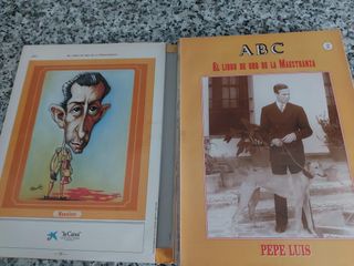 El Libro de Oro de la Maestranza