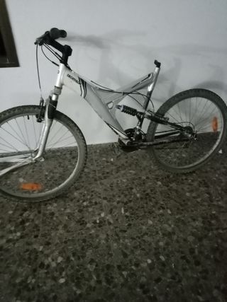 Bicicleta de paseo 