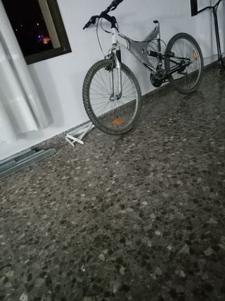 Bicicleta de paseo 