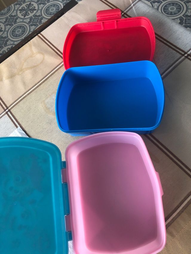 Lote Patrulla Canina 8 años y tuppers paw patrol