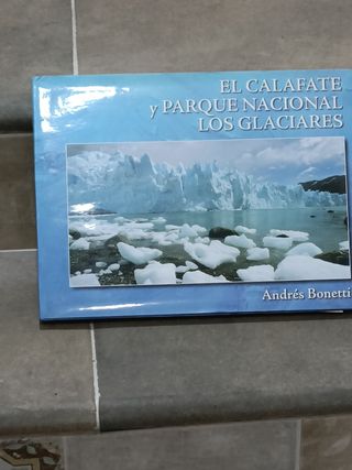 Libro Andrés Bonetti