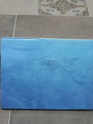 Libro Andrés Bonetti