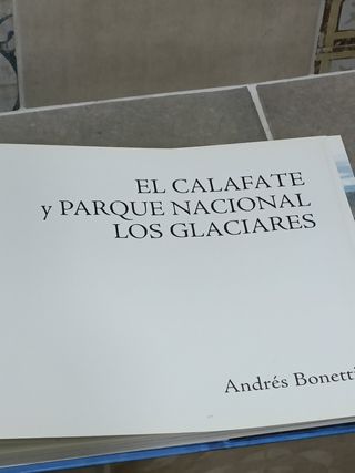 Libro Andrés Bonetti