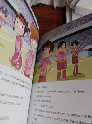 Libro; El misterio de la lluvia de meteoritos