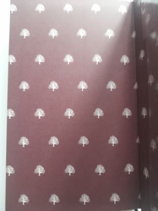 OBRAS COMPLETAS LOPE DE VEGA .PROSA 1.