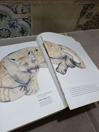 Catalogo arte