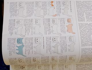 EL GATO ENCICLOPEDIA GUIA LIBRO