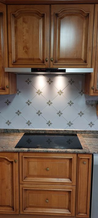 Campana extractora