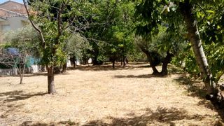 Terreno urbano