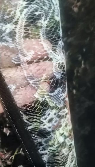 Vestido Zara talla M