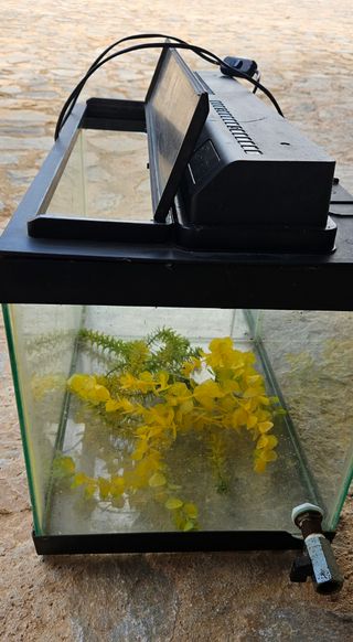 Acuario 5o litros.