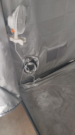 Interior armario de cultivo