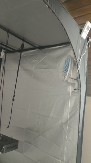 Interior armario de cultivo