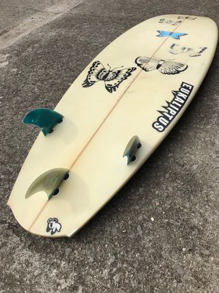 Tabla surf Eukaliptus 6’1 x 20 1/2 x 2 1/2