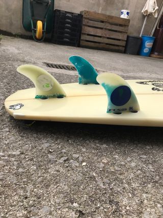 Tabla surf Eukaliptus 6’1 x 20 1/2 x 2 1/2