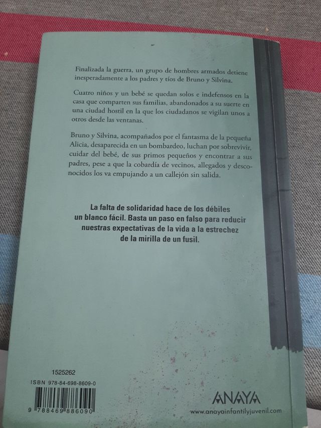 Libro VENTANAS(ANAYA)