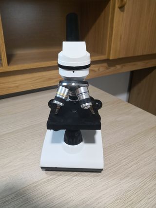 Microscopio